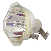INFOCUS SP-LAMP-026 Λάμπα χωρίς την βάση