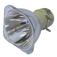 INFOCUS SP-LAMP-039 Λάμπα χωρίς την βάση