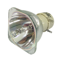 INFOCUS SP-LAMP-093 Λάμπα χωρίς την βάση